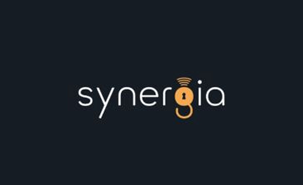 synergia logo